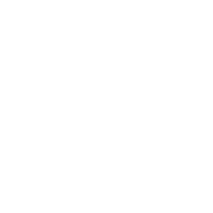 Wisdom Teeth